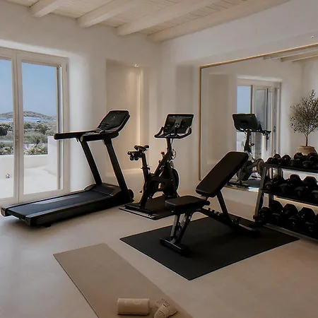 Villa Aristanaca In Mykonos *