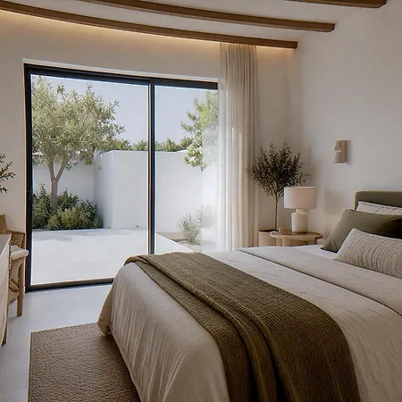 Aristanaca In Mykonos Psarrou